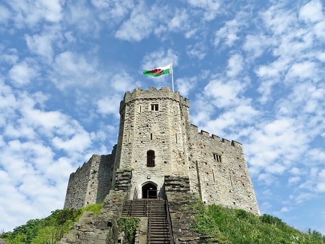 Cardiff Castle helicopter Tour